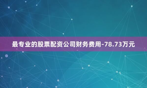 最专业的股票配资公司财务费用-78.73万元