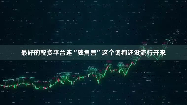 最好的配资平台连“独角兽”这个词都还没流行开来